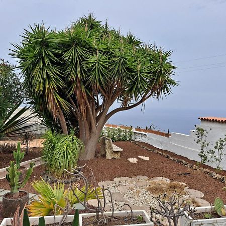 Tenerife Apartment 100M2 Casa De Don Quijote With A Terrace Of 100M2 With A View Of The Ocean And Teide Volcano And A Garden Of 600M2 Icod De Los Vinos Exterior foto