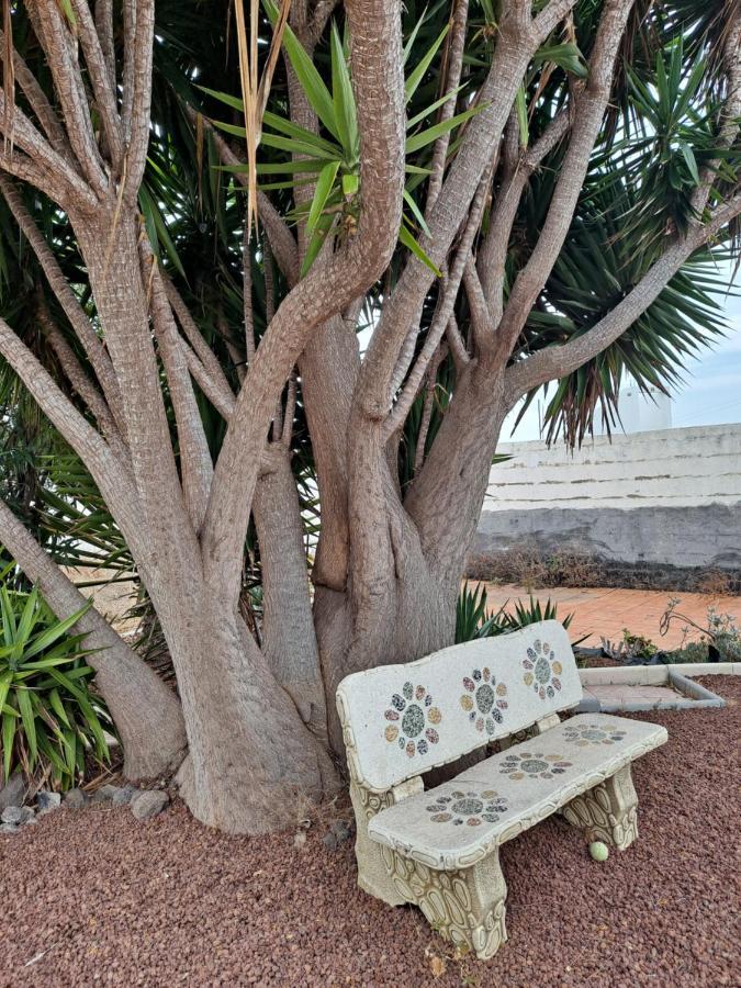 Tenerife Apartment 100M2 Casa De Don Quijote With A Terrace Of 100M2 With A View Of The Ocean And Teide Volcano And A Garden Of 600M2 Icod De Los Vinos Exterior foto